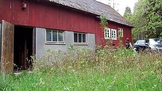 Captivity in the barn
